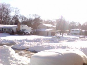 Snow Day! The scene outside my house.