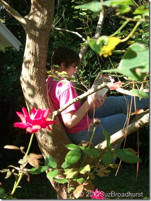 Teen reading shakespeare in a tree Teen reading shakespeare in a tree