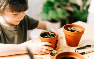 Seed Starting: One Step Closer to Delicious Summer Vegetables