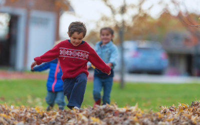Leaf Chromatography Explained: A Fun Fall Science Experiment