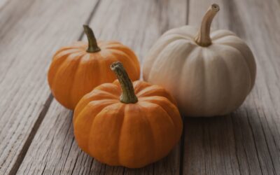 Pumpkin Power: How Many Pumpkins Does It Take to Light a Lightbulb?